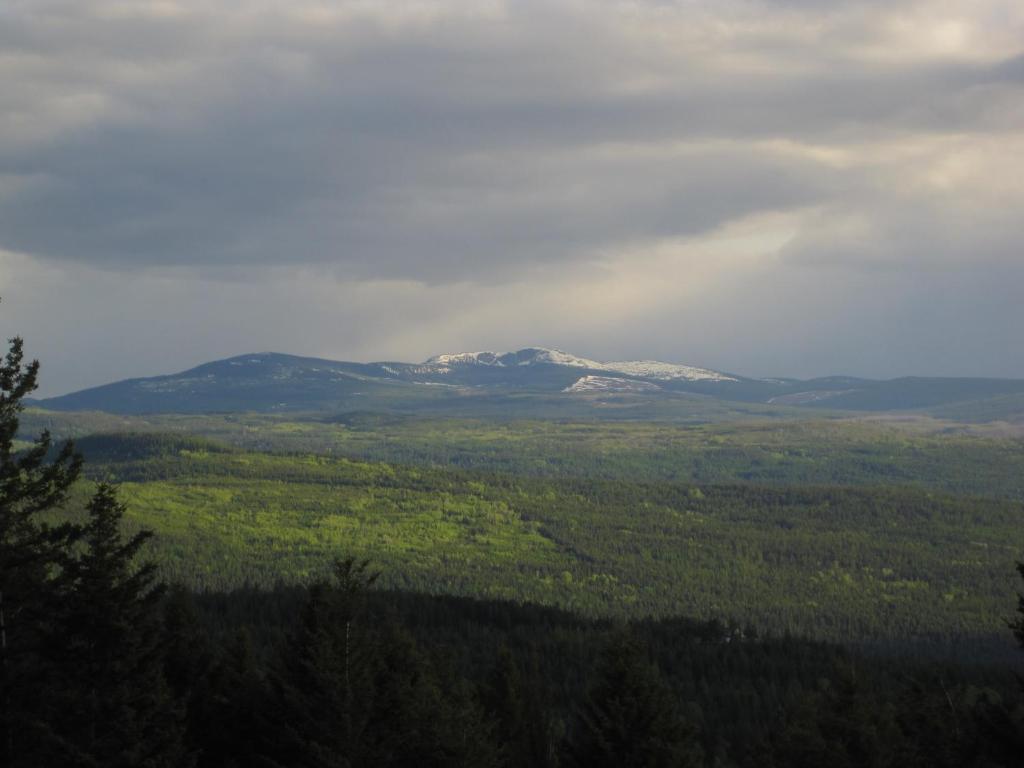 Wild Nature B&B Келоуна Екстериор снимка