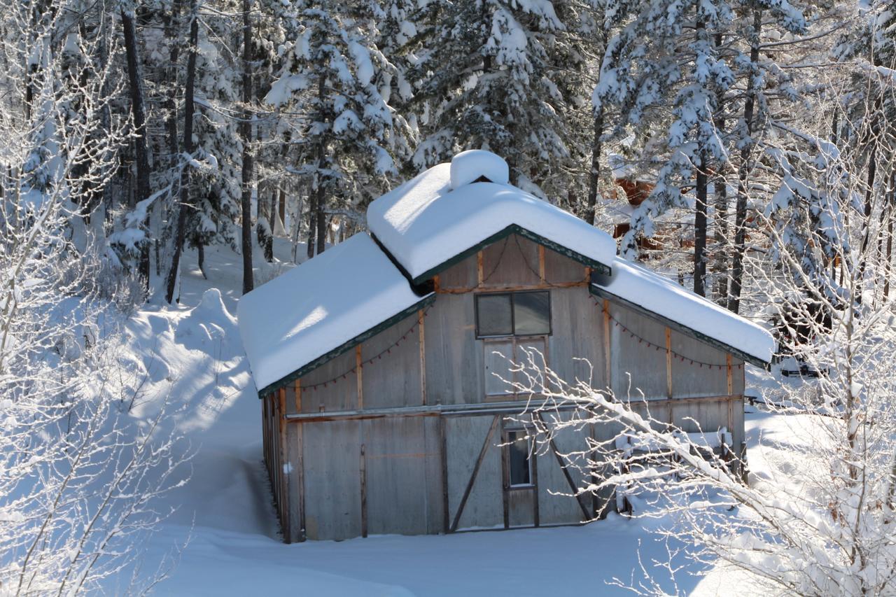 Wild Nature B&B Келоуна Екстериор снимка